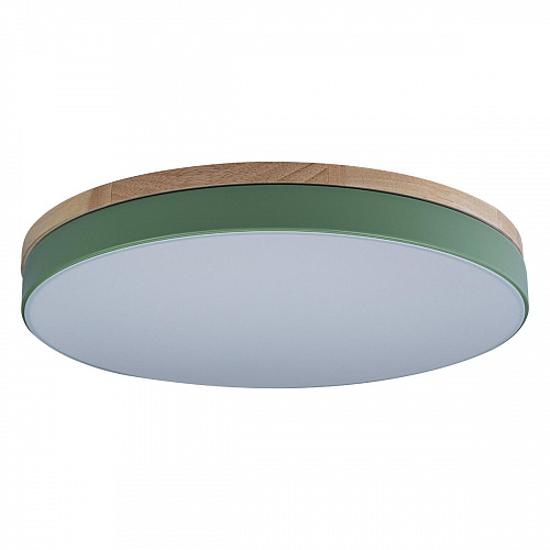 10001/36 Green Потолочный светильник LOFT IT Axel, шт