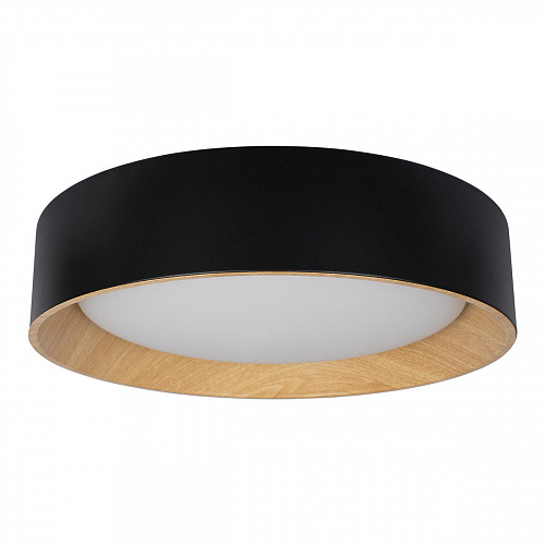 10202 Black Потолочный светильник LOFT IT Coin, шт