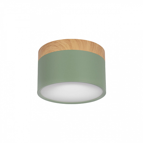 10162 Green Накладной светильник LOFT IT Grape, шт