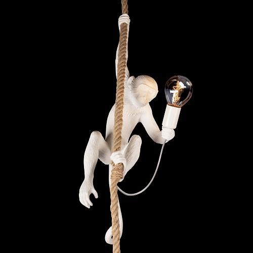 10314P Подвесной светильник LOFT IT Monkey, шт
