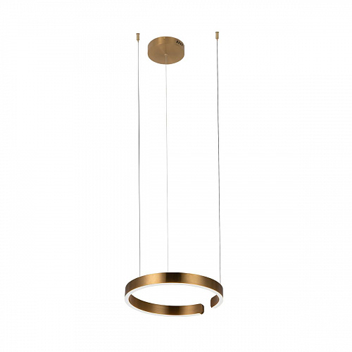 10013S Подвесной светильник LOFT IT Ring, шт