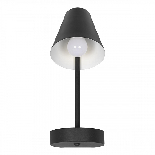 10216/1W Black Настенный светильник LOFT IT Shelf, шт