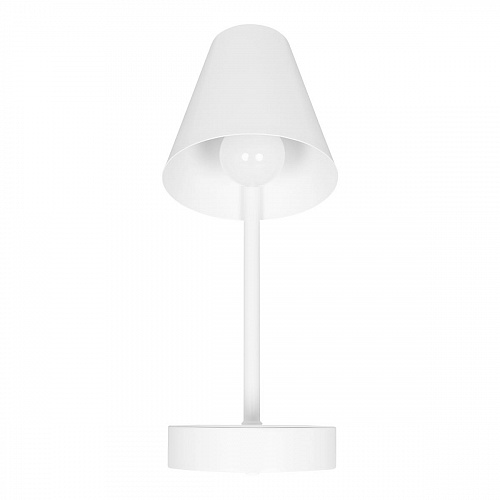 10216/1W White Настенный светильник LOFT IT Shelf, шт