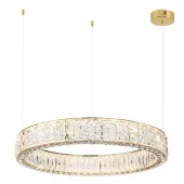 Подвесная люстра Odeon Light 5071/100L