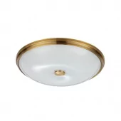 Потолочный светильник Odeon Light Walli Pelow 4956/5